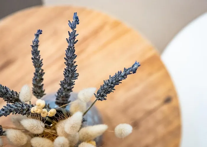 Servani * 斯科派洛斯